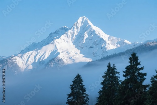 Wallpaper Mural Snow - capped mountain peak with pine trees and mist Torontodigital.ca