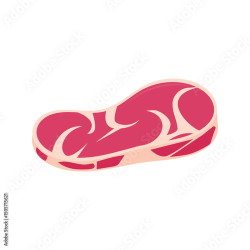 raw meat on white background. food theme. beef. lamb. goat meat. vector illustration