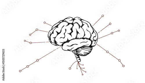 Creative brain illustration with neural connections and abstract elements on white background