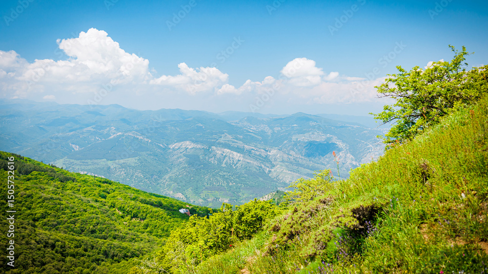 Naklejka premium Stunning mountain view near Kojori, Georgia, featuring lush greenery, wildflowers, and vibrant sky, perfect for travel and nature concepts