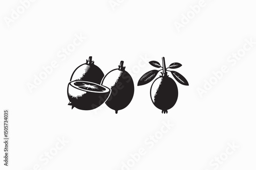 Loquat fruit vector silhouettes image with white color back round adobe illustrator
