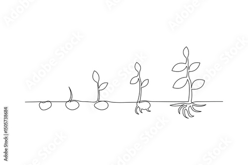 Plant growth process minimalist continuous one line art