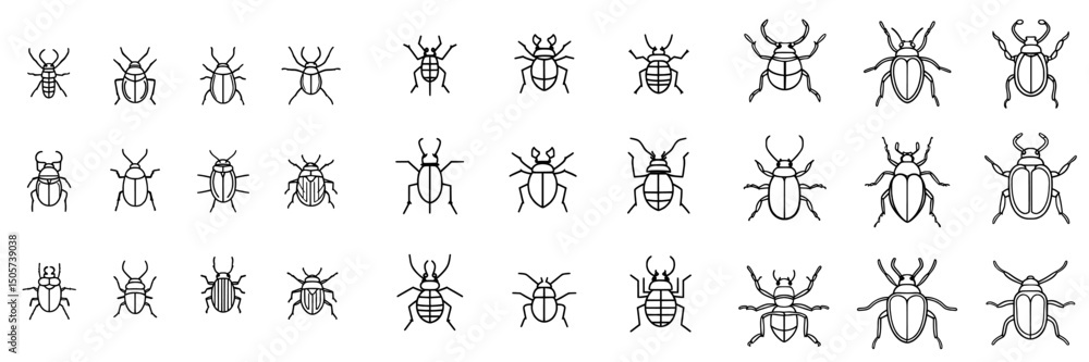 Isolated doodle-style contour drawings of beetles on white backgrounds make up this design component Isolated doodle-style contour drawings of beetles on white backgrounds make up this design component
