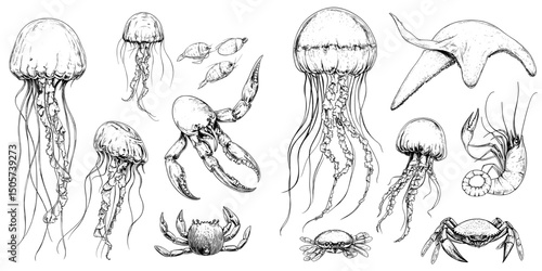 Monochrome seamless pattern with an assortment of ocean and sea animals depicted in a modern sketch style