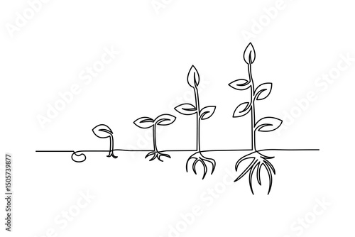 Plant growth process minimalist continuous one line art