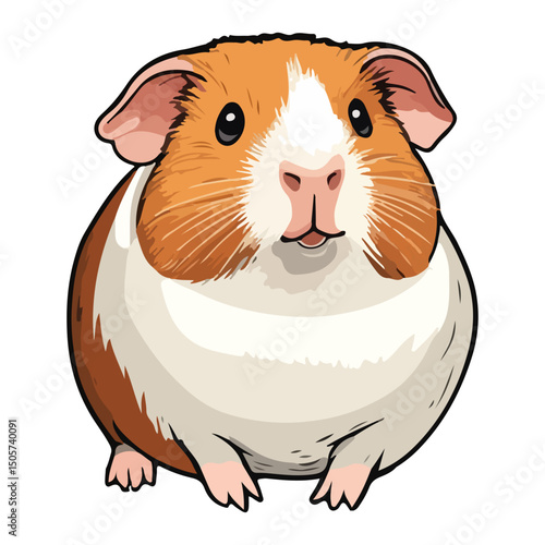 guinea pig, animal, vector, transparent background, mammal, nature, cute, zoo, pet, isolated, rodent, cavy, furry, guinea-pig, cavia, adorable, small, fluffy