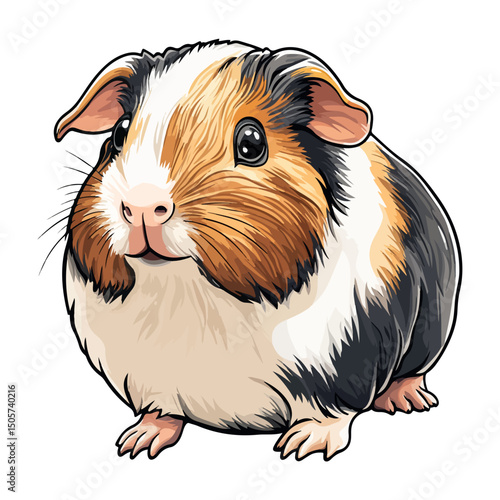 guinea pig, animal, vector, transparent background, mammal, nature, cute, zoo, pet, isolated, rodent, cavy, furry, guinea-pig, cavia, adorable, small, fluffy