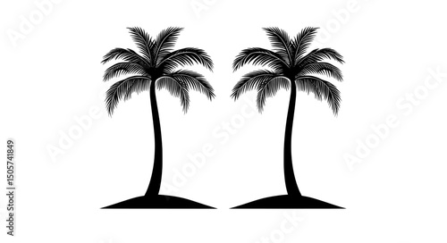 A palm tree is showcased in a minimalist composition characterized by a striking contrast, where the emphasis is on the intriguing dance of light and shadow, rendering it a great fit for design