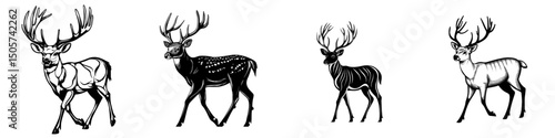A hand drawn modern illustration of deer in black and white features a wild doe and stag in a monochrome sketch suitable for winter and Christmas designs