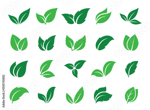 Green leaves branches icons set