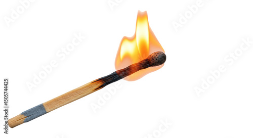 Bild auf Leinwand Isolated Burning Matchstick