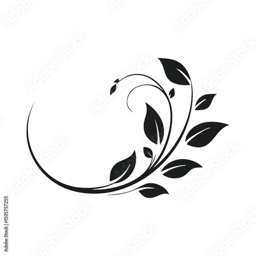 Elegant black floral design element swirl leaves
