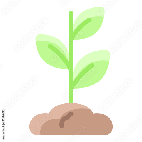 Sprout