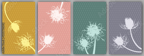 Carrot flower posters vector design. Rustic fluffy dandelions. Spring cards. ...