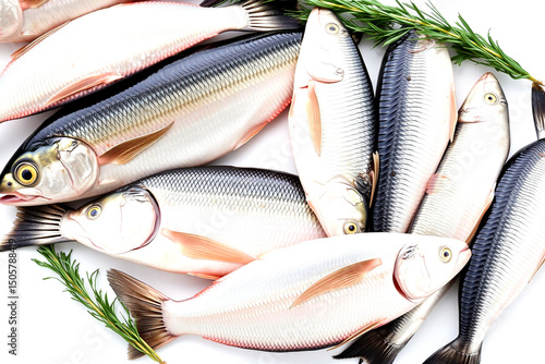 Freshly Caught White Fish with Herbs on a Clean White Background for Culinary Delights