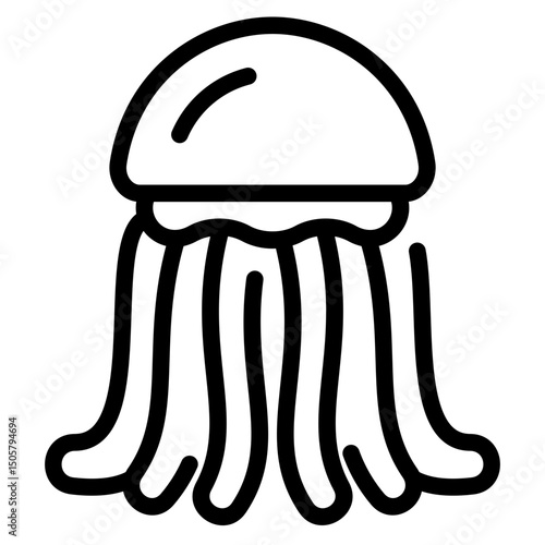 Jellyfish