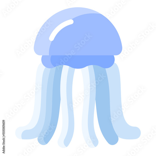 Jellyfish