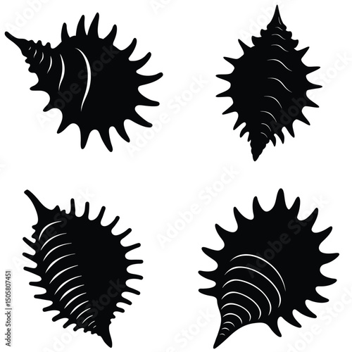 Murex Shells Silhouette Vector Set – Spiky Sea Shell Collection, Marine Coastal Nature Design, Ocean Wildlife Elements, and Tropical Beach Decor