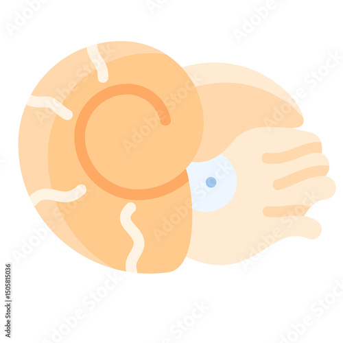 Nautilus