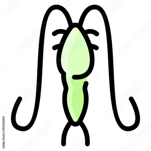 Plankton