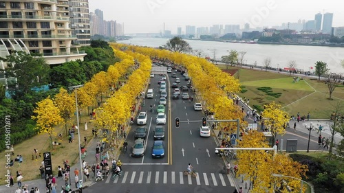 Viewing yellow trees and river traffic near guangzhou chau tau tsui park