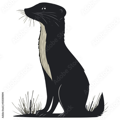 weasel, animal, vector, transparent background, mammal, rodent, cute, wildlife, wild, nature, symbol, zoo, isolated