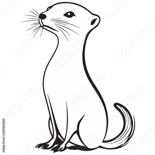 weasel, animal, vector, transparent background, mammal, rodent, cute, wildlife, wild, nature, symbol, zoo, isolated