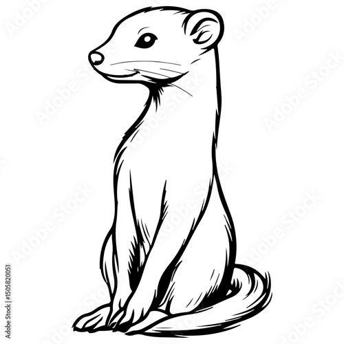 weasel, animal, vector, transparent background, mammal, rodent, cute, wildlife, wild, nature, symbol, zoo, isolated