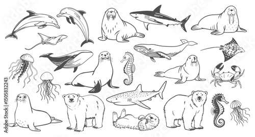 Set of hand drawn sea animals. Sketch black outline illustration.