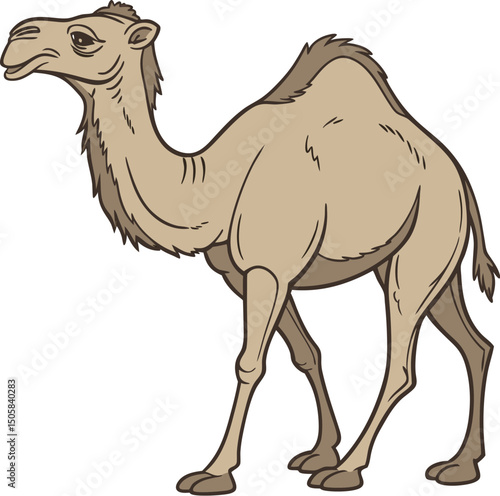 Realistic Side Profile of a Dromedary Camel: Transparent Background Illustration