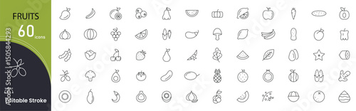 Fruits related line icons collection. Orange banana melon apple, blueberry, pineapple pomelo, kiwi peach, fig kiwi fresh fruits icon pack. Thin outline icons. 
