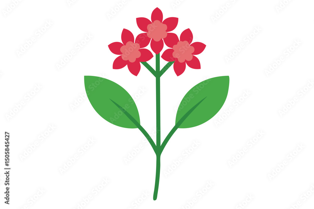 Fototapeta premium pink flower isolated on white
