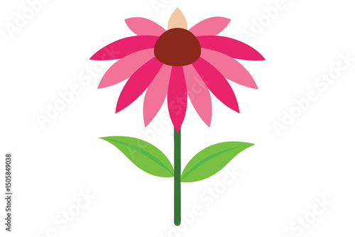 pink flower isolated on white