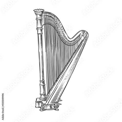 classical harp orchestra music instrument vector hand drawn illustration