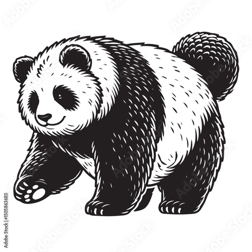 Silhouette Panda black vector illustration style white background