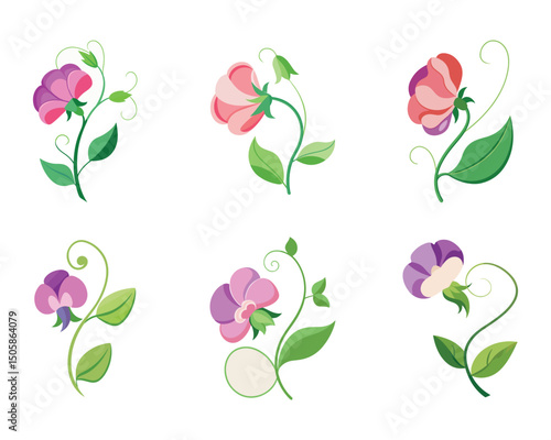 sweet pea flower minimalist silhouette vector - for nature graphic design projects sweet pea, plant flower modern artwork.