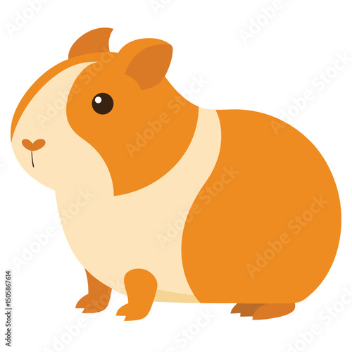  guinea pig on wait background
