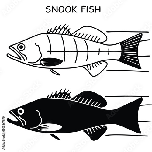 Detailed Scientific Illustration of a Snook Fish with Anatomical Accuracy