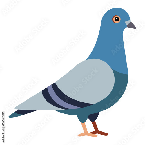 vector illustration of a pigeon
