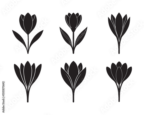 Crocus thick line, thing line and flat icons isolated on white background. Crocus sativus. Saffron flowers pictogram for spice production, eco emblem, sticker or other use. Vector illustration. Set.