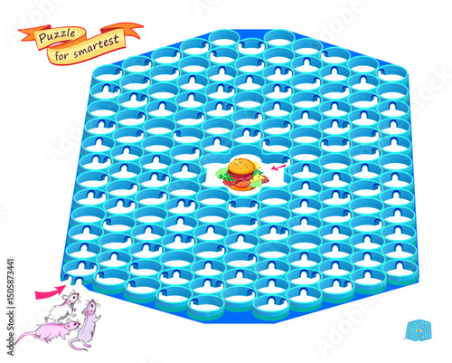 Best labyrinths. Can you help the mice find the way to the hamburger? Logic puzzle game for children and adults. Brain teaser book with maze. Educational page. Kids activity sheet. Vector illustration