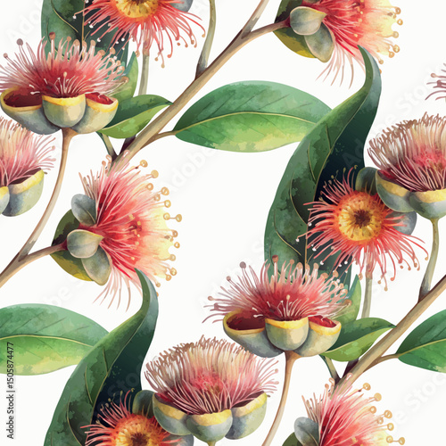 Australian Eucalyptus Gum Blossom Botanical Retro Vector Classic Watercolor Seamless Pattern