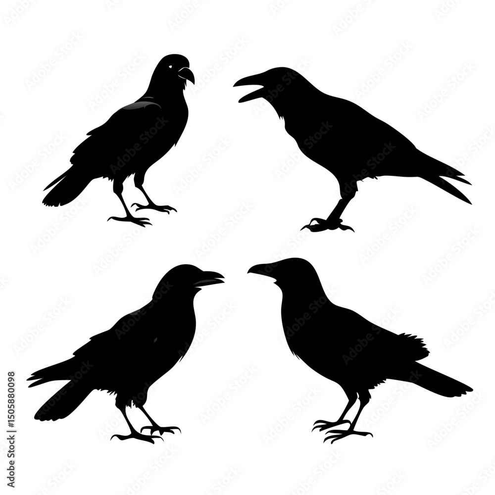 Silhouettes of Crows in Various Standing and Calling Poses – Vector Crow Graphics for Wildlife Art, Halloween Decor, Bird Illustrations, Nature Projects, and Gothic Design Collections Silhouettes of Crows in Various Standing and Calling Poses – Vector Crow Graphics for Wildlife Art, Halloween Decor, Bird Illustrations, Nature Projects, and Gothic Design Collections