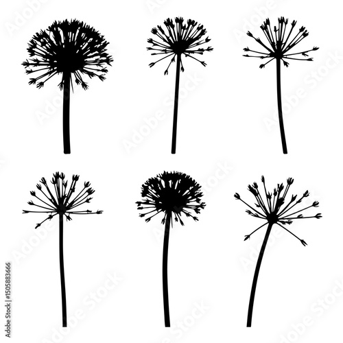 Set of Allium Black Silhouette Vector With Background