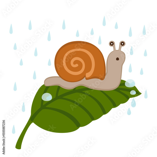 Vector illustration of a cute cartoon snail resting on green leaves with isolated raindrops in the background. Perfect for children's drawings, nature themes, or unusual seasonal designs.
