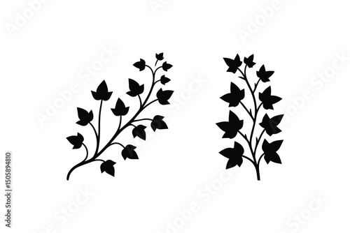 Ivy plant vector silhouette isolated in white background