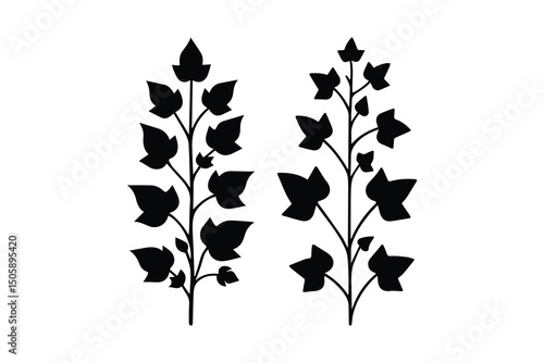 Ivy plant vector silhouette isolated in white background