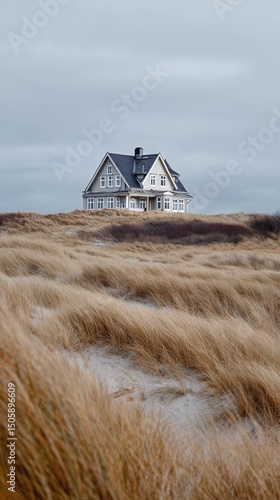 Cozy House Surrounded by Tall Grass Under a Dramatic Cloudy Sky on a Windy Day.