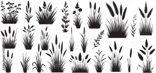 Grass elements silhouette collection vector illustration