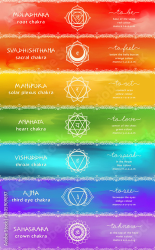 Vivid Chakra Information Guide Vector Poster